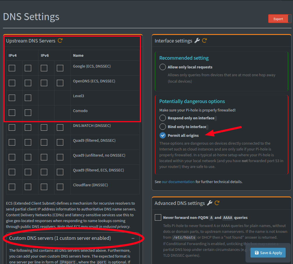 Pi-hole admin interface DNS settings showing upstream DNS server configuration for Unbound integration