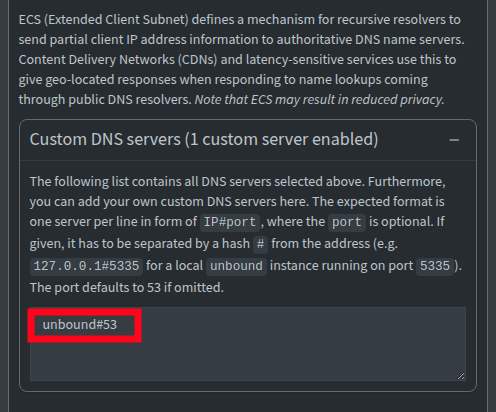 Pi-hole custom DNS configuration panel with conditional forwarding and upstream resolver settings